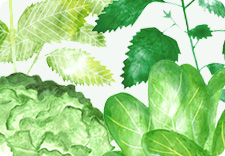 Automatic setting of growing recipe