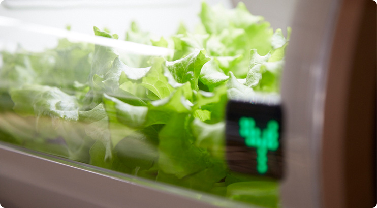 Transparent front cover