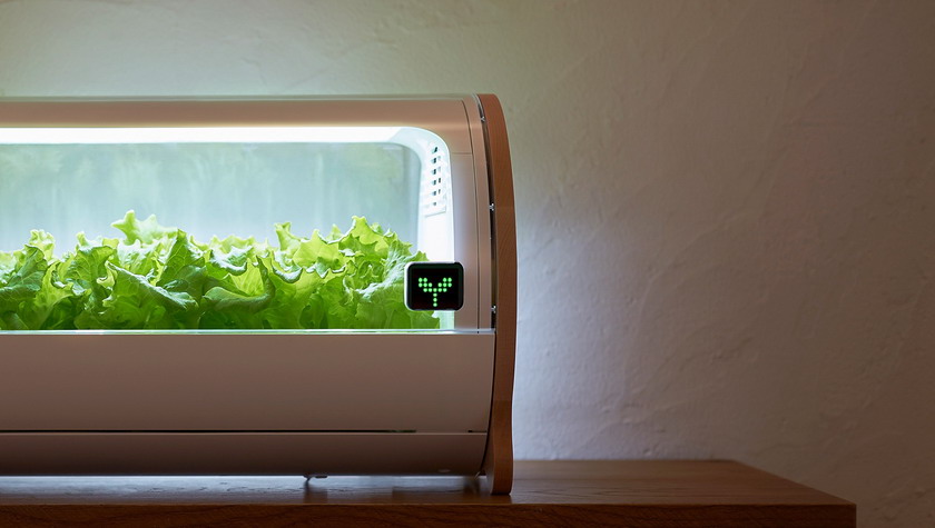 メディア掲載情報