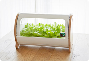 Smart sensors monitor changes in growing conditions.