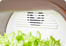 Environment adjustment fans.