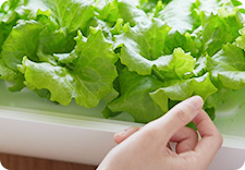 Fresh and ready to eat