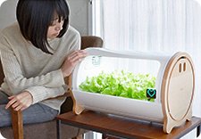 Unaffected by weather