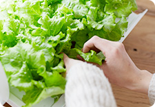 foop is economical because you can harvest and eat only the vegetable you want