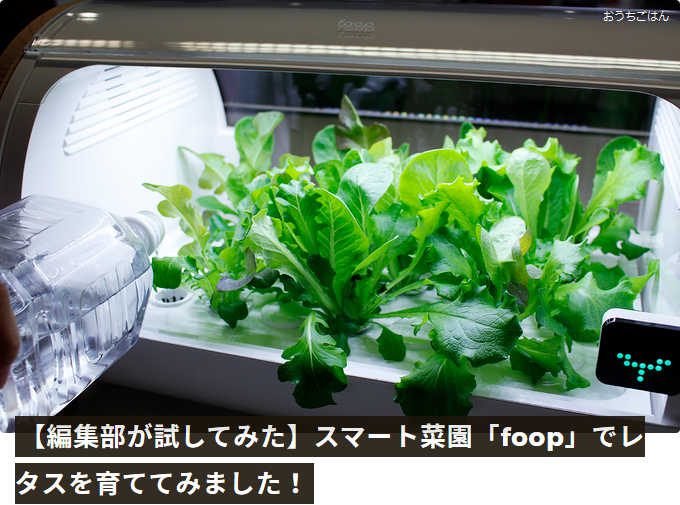 おうちごはん foop