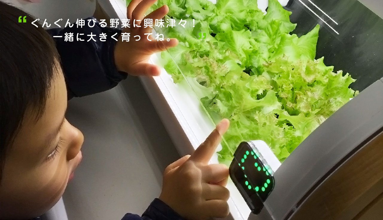 ぐんぐん伸びる野菜に興味津々!一緒に大きく育ってね。